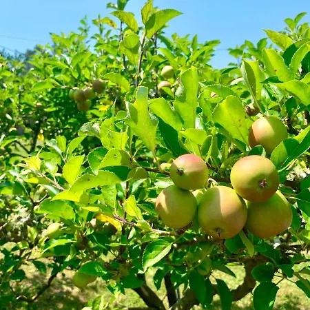 A 300 Metros De Playa Francón