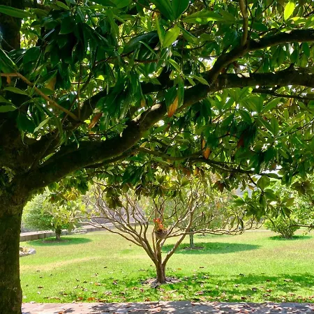 A 300 Metros De Playa Francón Villa *